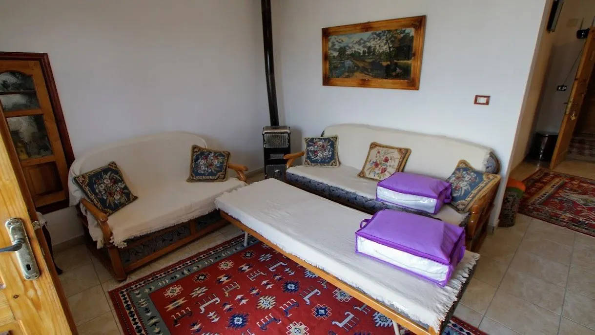 The Home Of Diplomacy Gjirokaster Albania