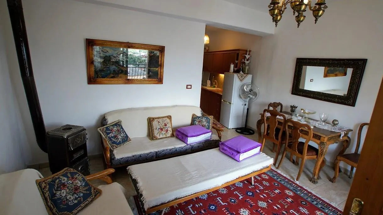 The Home Of Diplomacy Gjirokaster Albania